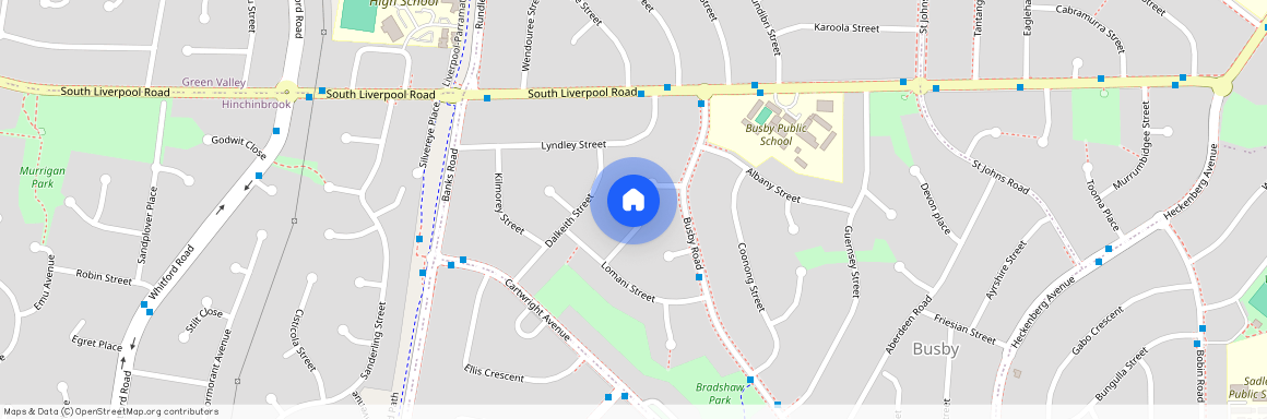 11 Dimby Place, NSW 2168, Busby