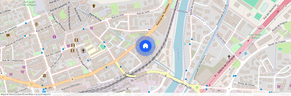 Sion à l'Avenue de Tourbillon, 1950 Sion