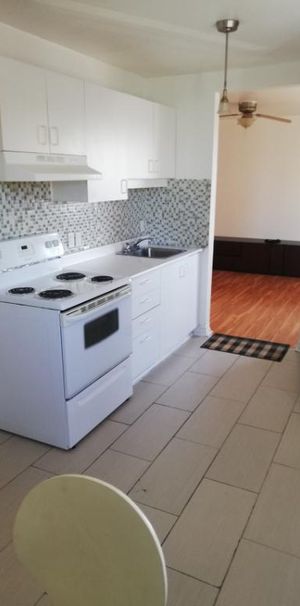 Appartement 3 1/2 à louer 1er décembre Montréal-Nord - Photo 1