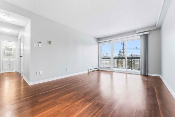 Spacious Two-Bedroom Condo for Rent Near Rideau River - Photo 1