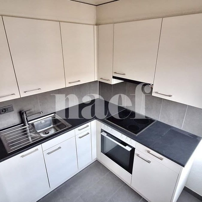 2 Zimmer, 48 m², 6. Stock - Photo 1