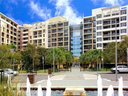 204/806 Bourke Street, Waterloo NSW 2017 - Apartment For Rent | Domain - Photo 2