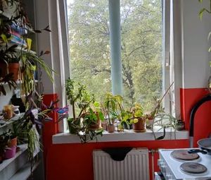 Gemeindewohnung - Foto 3
