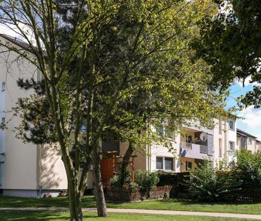 Ein Zuhause zum Ankommen: Großes Wohnzimmer u. Loggia mit Grünblick - Foto 3