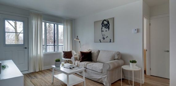 Appartement 4 ½ à louer Limoilou juillet 2026 - Photo 2