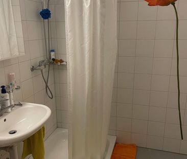 3-ROOM APARTMENT IN ZURICH – DISTRICT 11 SEEBACH, FURNISHED, TEMPORARY - Photo 3