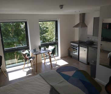 Gold Studio - Photo 3