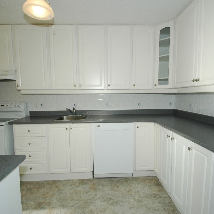 2 bedroom unit close to Cite Collegiale and Ogilvie/Bathgate - Photo 1