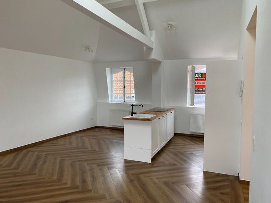 Volledig gerenoveerd 2 slaapkamer appartement - Foto 1