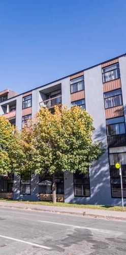 1 CH - 1 SDB - Montréal - $970 /mo - Photo 1