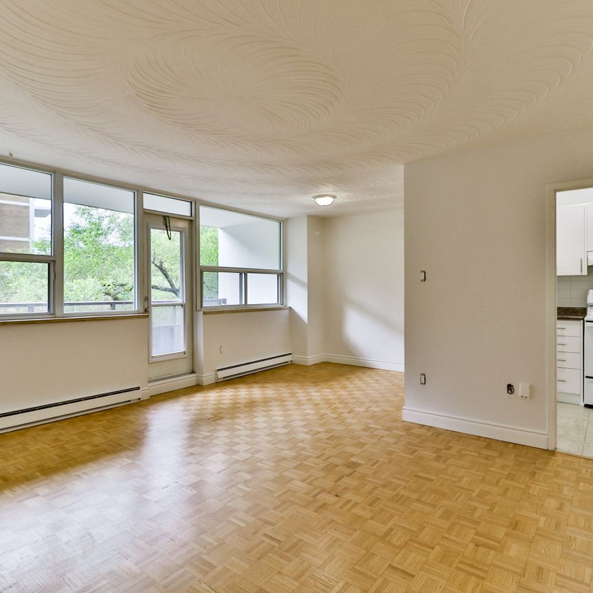 1 Bedroom Junior - Photo 1