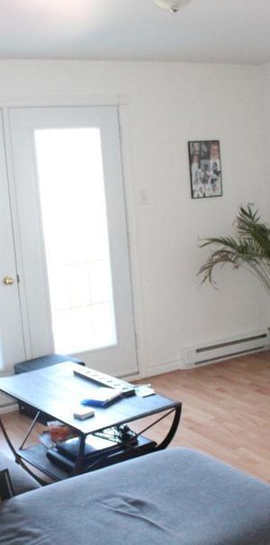 Appartement Rue Joseph Légaré Disponible 1 Decembre ou avant - Photo 1