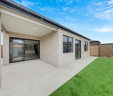Brand New Family Home with Bush Views & Modern Comforts - Photo 4