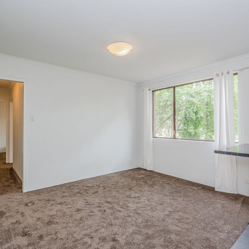 66/58 Wattle Street, Lyneham ACT 2602 - House For Rent | Domain - Photo 1