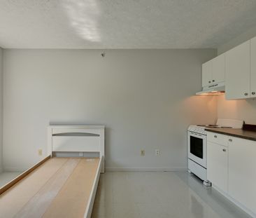 Studio 1 1/2 Sherbrooke - Photo 2