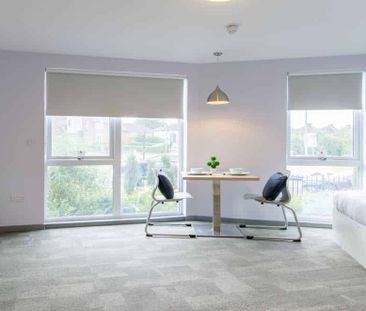 Deluxe Studio - Photo 6