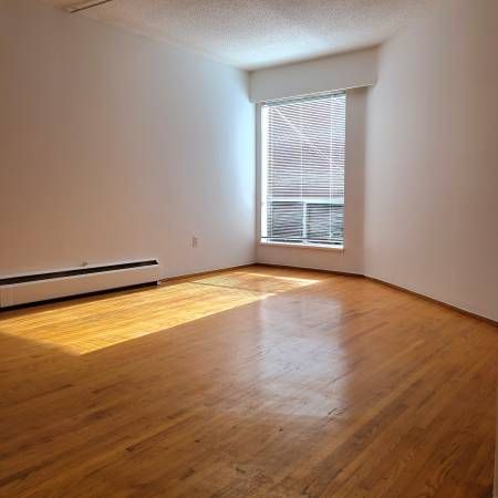 Bachelor Suite for rent in Downtown - Photo 3