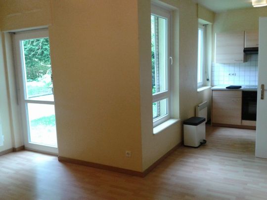 Location Appartement 1 pièce 28m² SARREGUEMINES 57200 - Photo 1