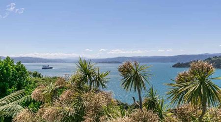 15 Grafton Road, Roseneath, Wellington City - Photo 5