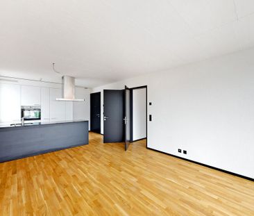 Apartment with 2.5 rooms for rent in Bellinzona - 46 m² - Photo 2