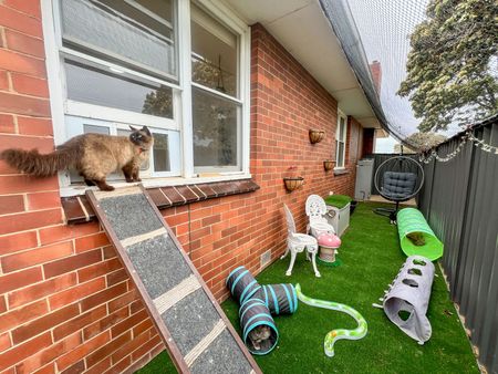 1 Chaston Street, 3620, Kyabram Vic - Photo 5