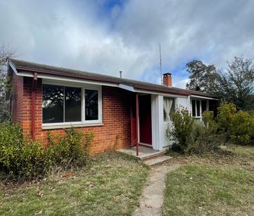 17 Dooring Street, Dickson ACT 2602 - House For Rent | Domain - Photo 3