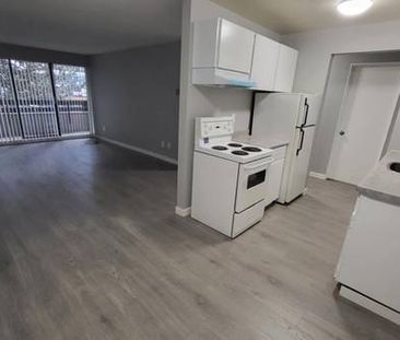 1 bedroom for rent- full unit- - Photo 1