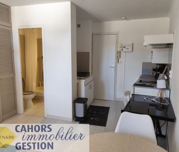 Location Appartement 1 pièce 19m² CAHORS 46000 - Photo 3