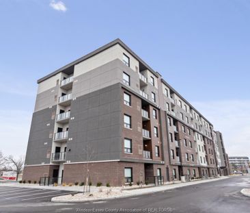 For Lease - 11870 TECUMSEH Road Unit# 108, Tecumseh, Ontario - Photo 5
