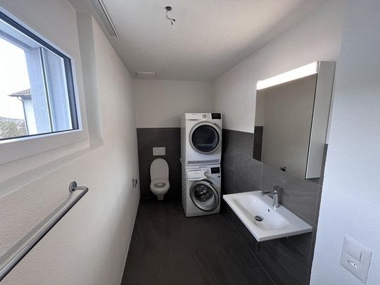 Traumwohnung mit riesiger Dachterrasse mit Abendsonne - Photo 1