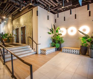 For Lease - 770 Somerset Street Unit# 507, West Centre Town, Ontario - Photo 5