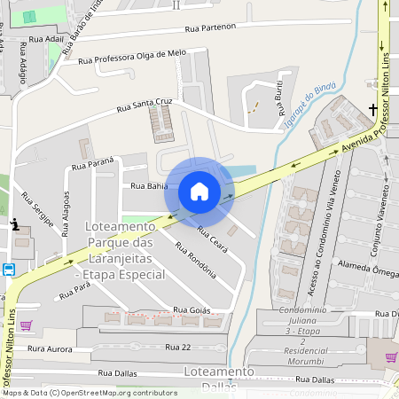 Avenida Professor Nilton Lins, Flores, Manaus, AM, 69058030