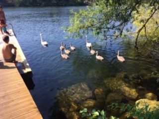 Ekensbergsvägen, Stockholm - Photo 5