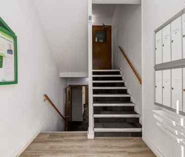 Renovated Suite - 1 Bedroom - Photo 1