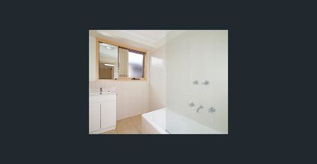 Quiet Location with Space to Play! - Photo 4