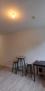 Location Appartement 1 pièce 20m² CALUIRE ET CUIRE 69300 - Photo 4