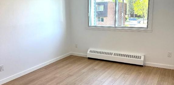 Appartements 3 1/2 à louer à Saint-Lambert - Photo 2