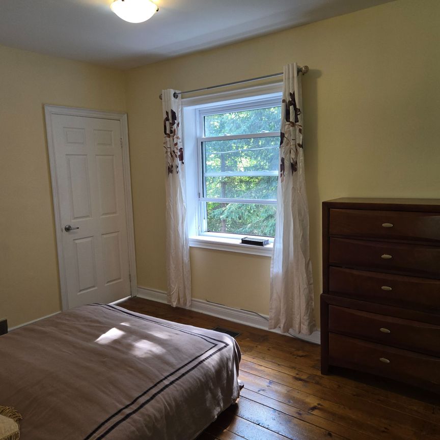 For Lease - 8726 9 Highway, New Tecumseth, Ontario - Photo 1