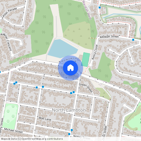 25 Compton Street, NSW 2299, North Lambton