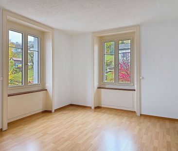 Large garden - Photo 1