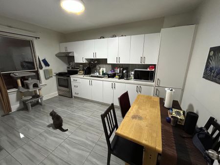 For Lease - 915 Lansdowne Ave, 2nd Floor Avenue, Toronto, Ontario - Photo 5