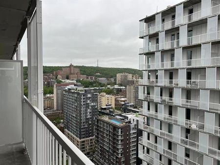 2320 Rue Tupper - Photo 5