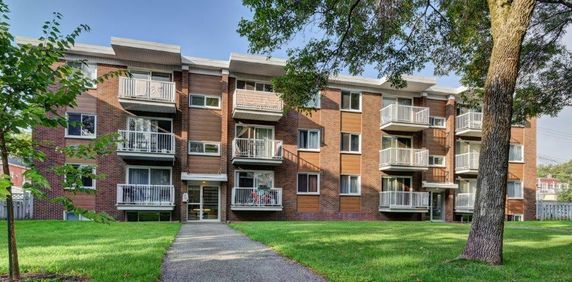 Logement 3 1/2, Libre 1er Juillet - Photo 2