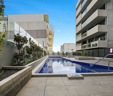 Modern, Spacious & Light Filled Apartment! - Photo 6