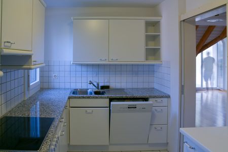 Sonnige 4.5-Zimmer-Dachmaisonette mit Traum-Weitsicht im Limmattal / Sunny 4.5-Room Duplex Apartment with Panoramic Views in Oetwil an der Limmat - Photo 2