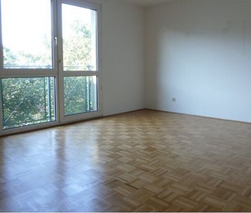 Kompakte Stadtwohnung für Singles im 14. Bezirk - Photo 1