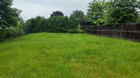 For Lease - 74 David Street Unit# Lower, Brampton, Ontario - Photo 4