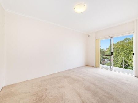 8/185 Avoca Street, Randwick, NSW 2031 - Photo 5