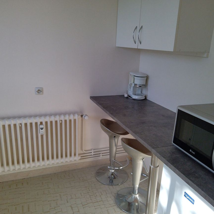 Petit appartement meublé entièrement rénové - Photo 1