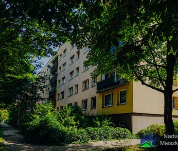 Libiąż - Zdjęcie 6